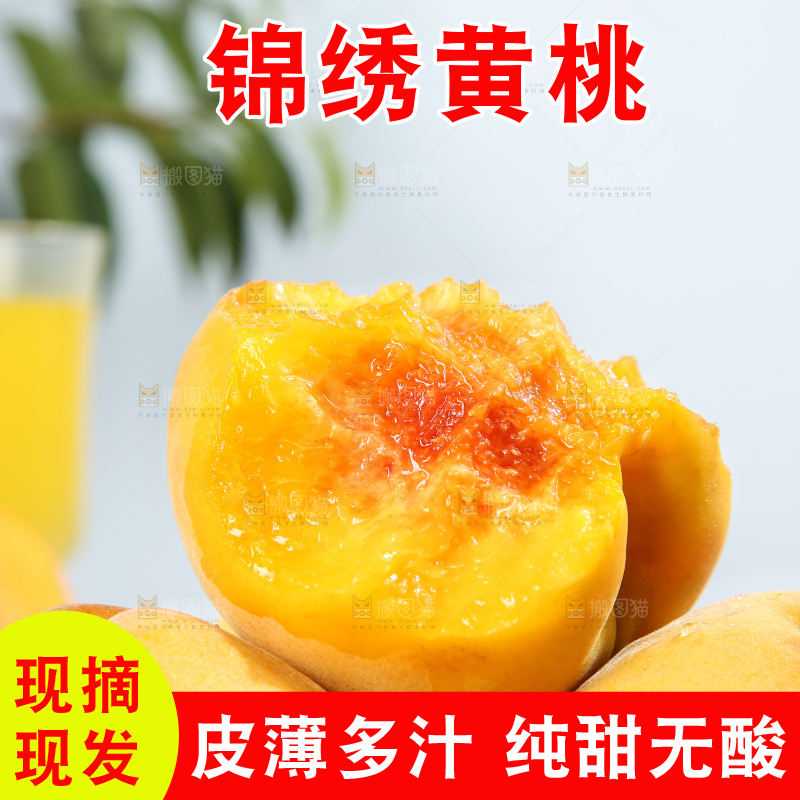 浅底上的奉贤黄桃