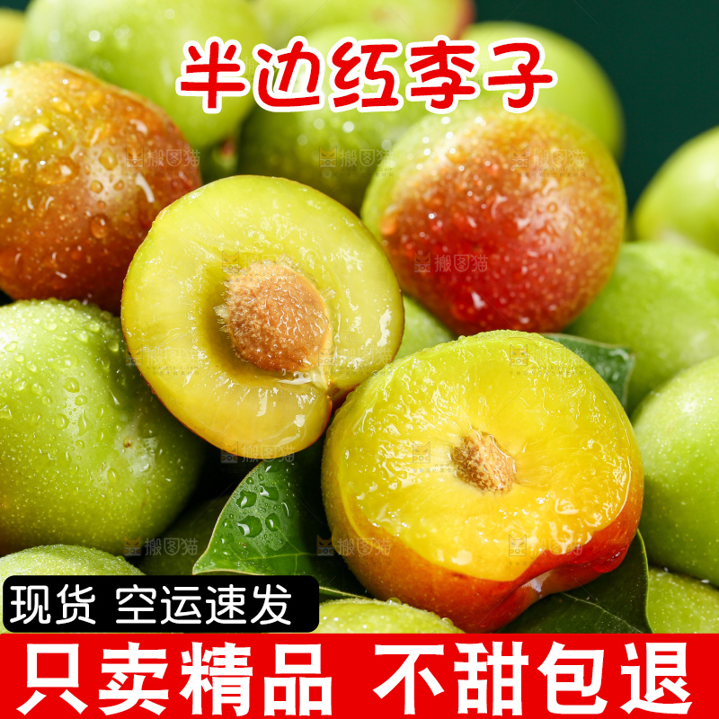 木底上的茵红脱骨李