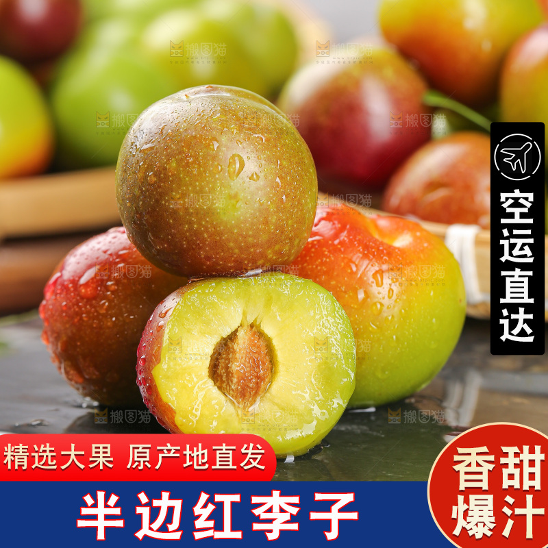 深底上的半边红脱骨李