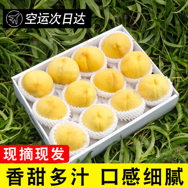 手里拿着奉贤锦绣黄桃