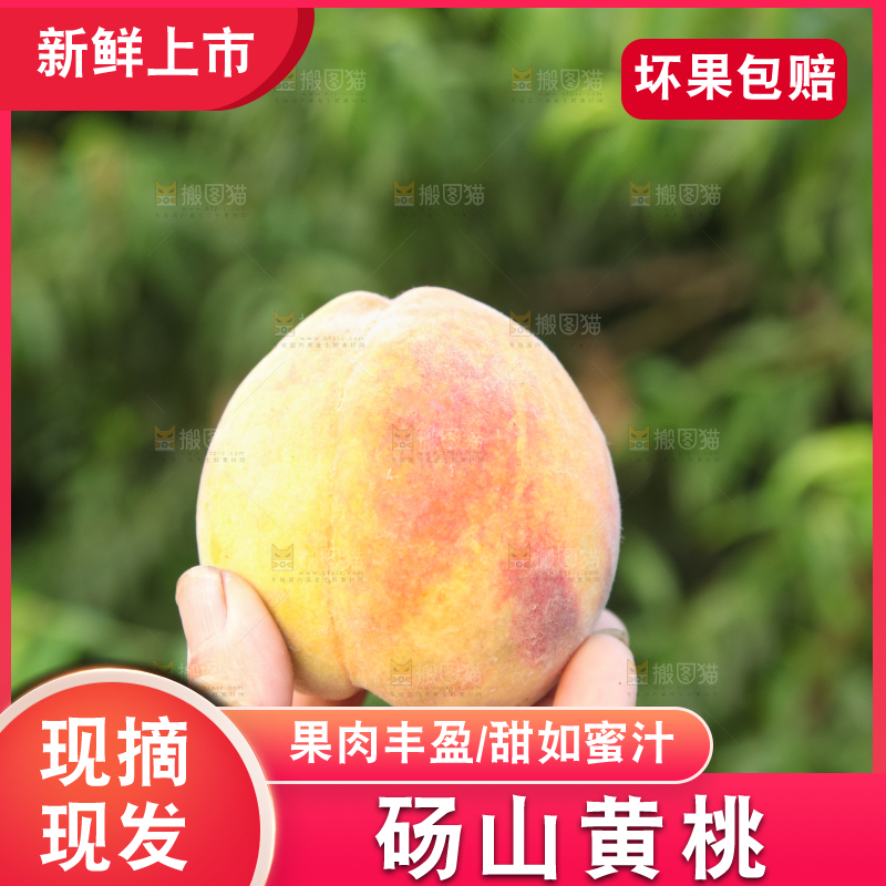 手里拿着黄毛桃