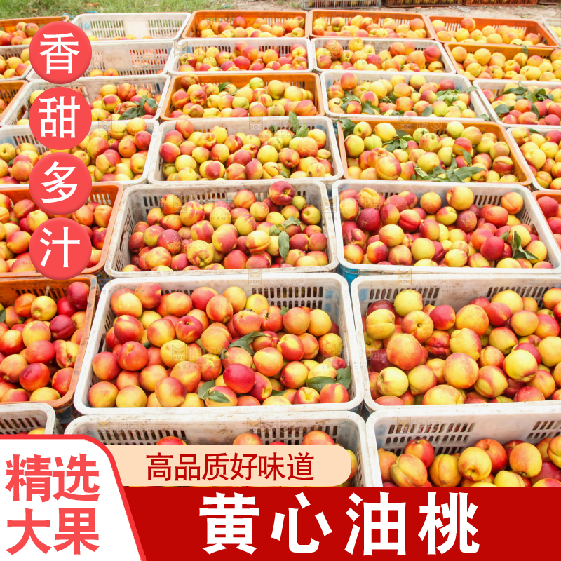堆放着的黄心油桃