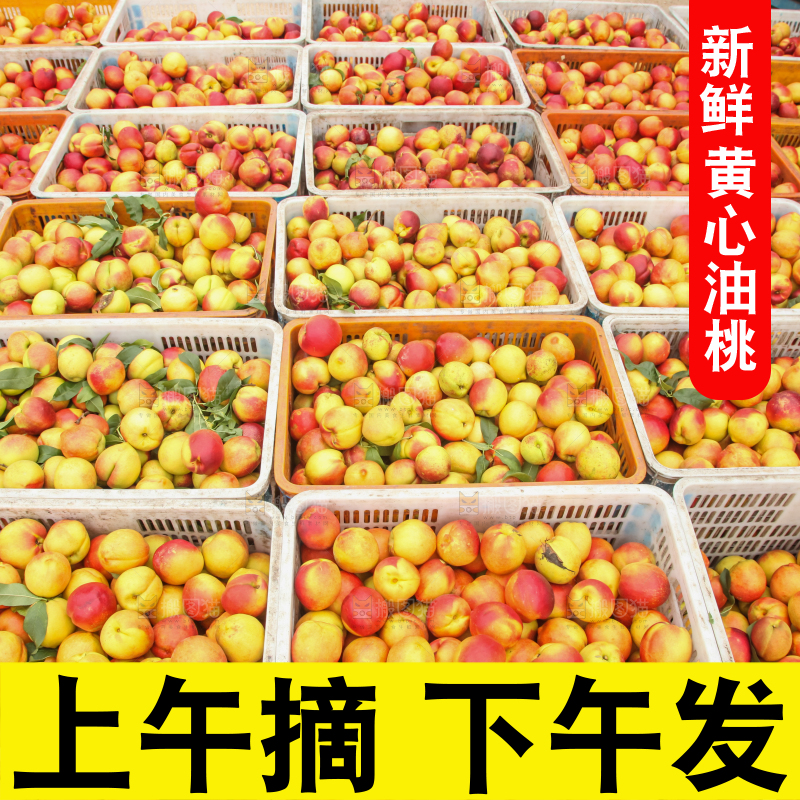 堆放着的黄心油桃