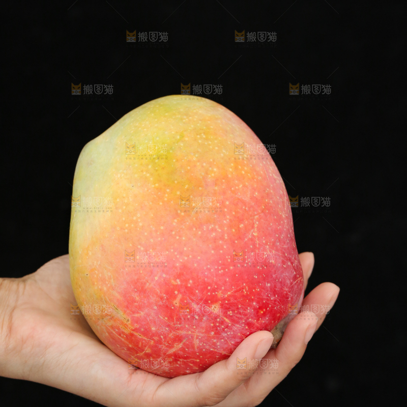手里拿着彩虹芒