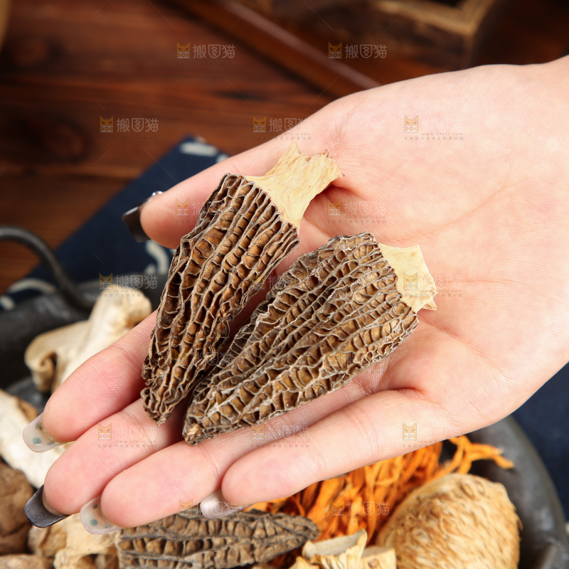 木底上的七彩菌菇