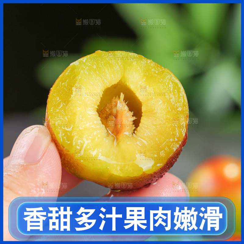 深底上的半边红脱骨李