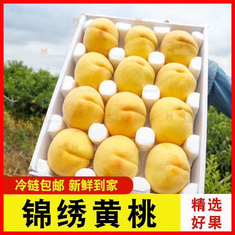 手里拿着奉贤锦绣黄桃