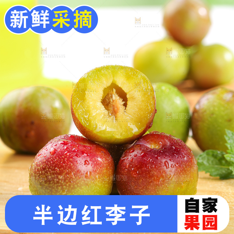 浅底上的茵红李