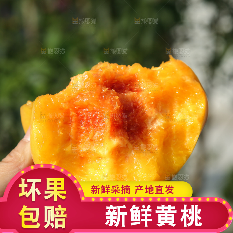手里拿着锦绣黄桃