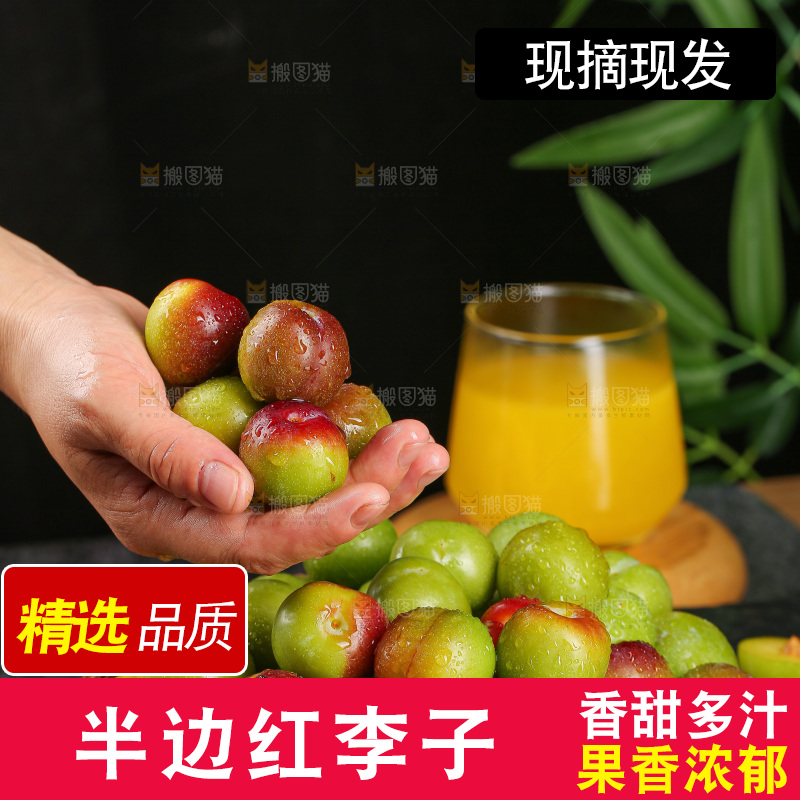 深底上的半边红脱骨李
