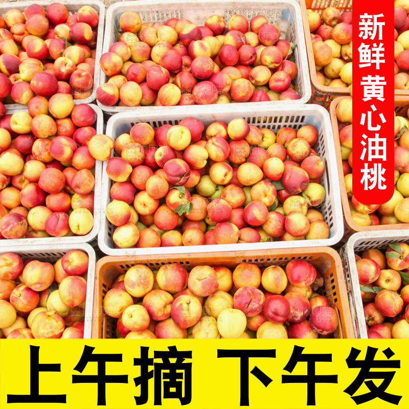 堆放着的黄心油桃