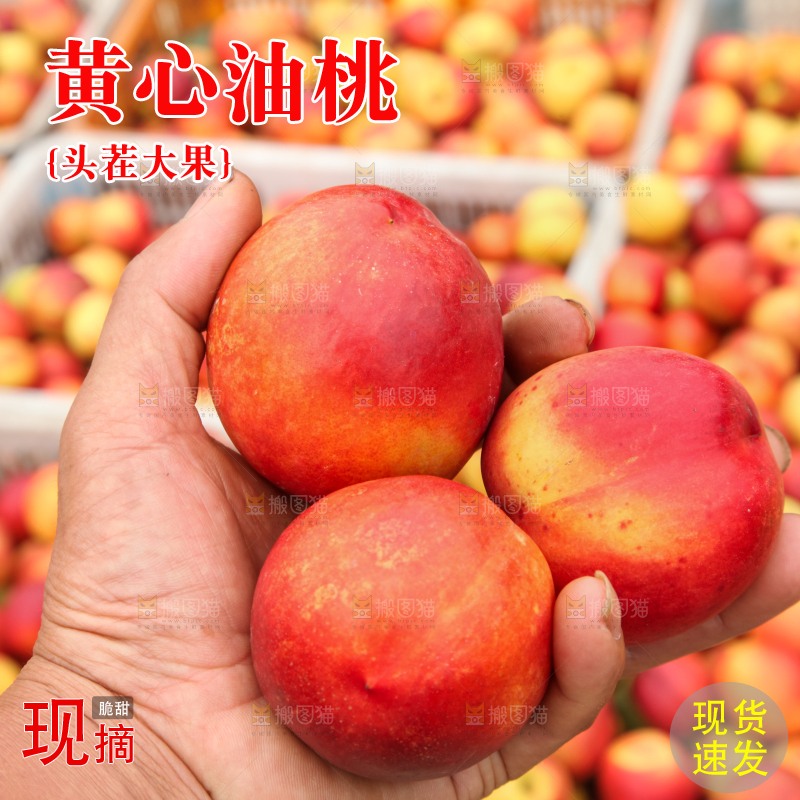 堆放着的黄心油桃