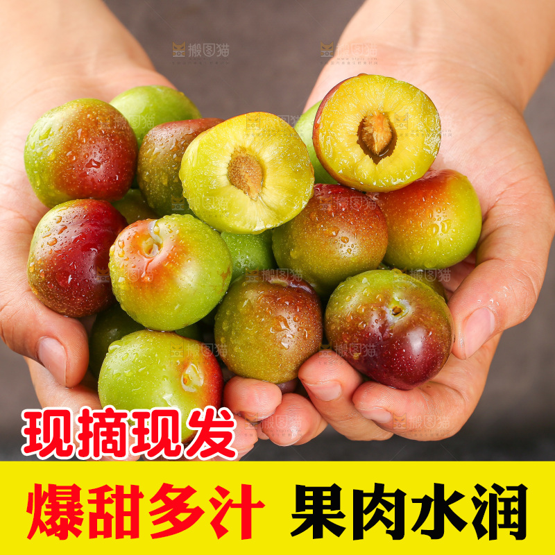 深底上的半边红脱骨李