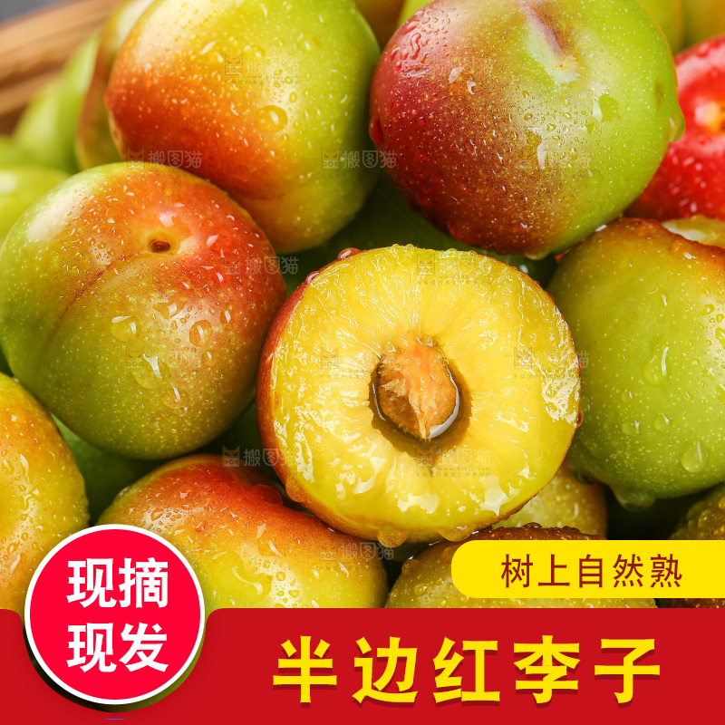 深底上的半边红脱骨李