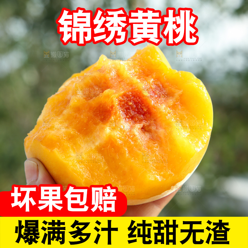 手里拿着锦绣黄桃