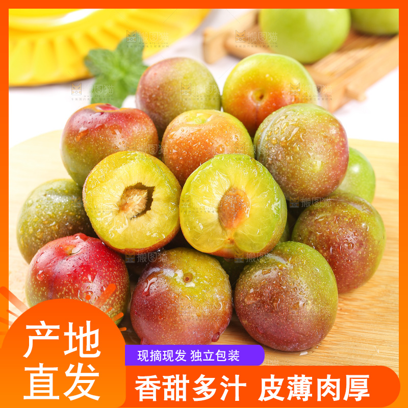 浅底上的茵红李