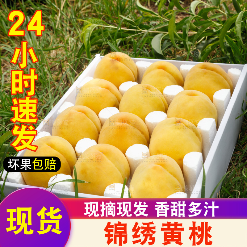 手里拿着奉贤锦绣黄桃