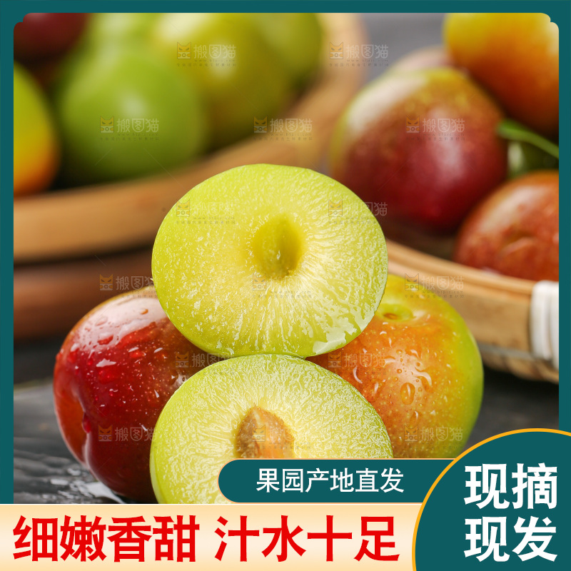 深底上的半边红脱骨李