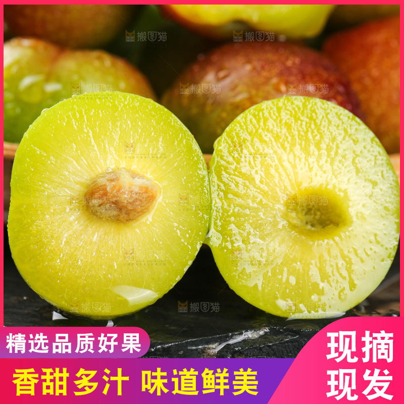 深底上的半边红脱骨李