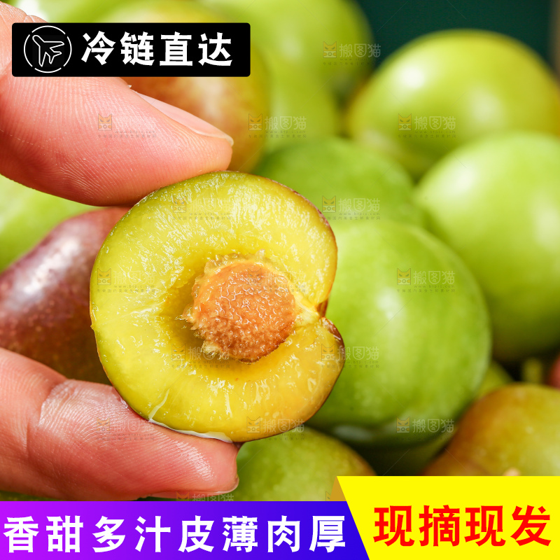 木底上的茵红脱骨李