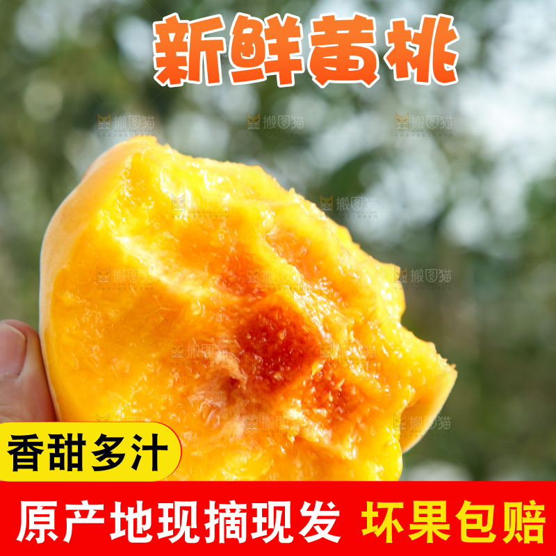 手里拿着锦绣黄桃