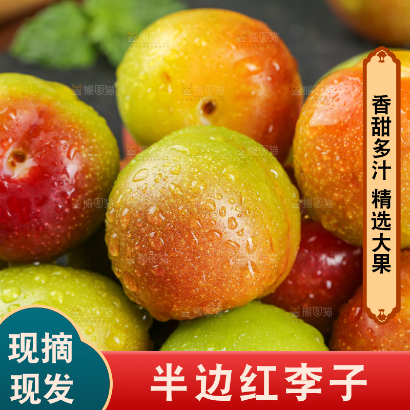深底上的半边红脱骨李