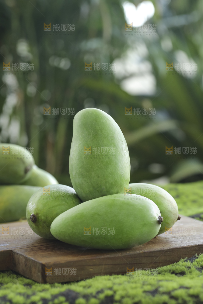 木底上的象牙芒