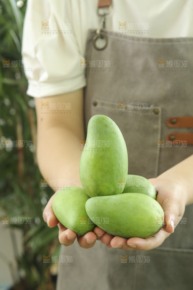 手里拿着象牙芒