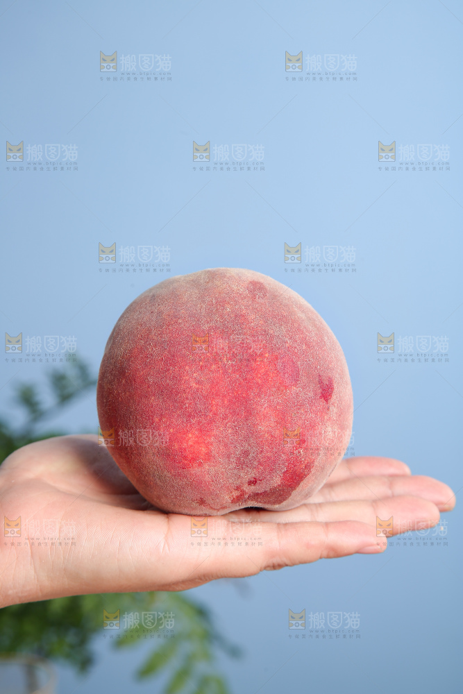 手里拿着血桃