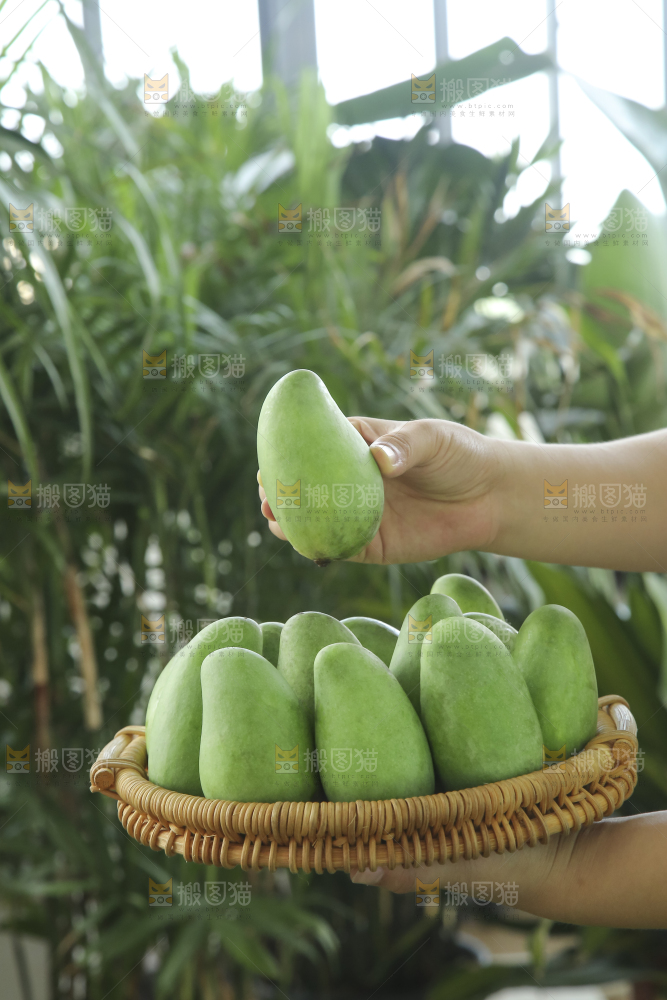手里拿着象牙芒