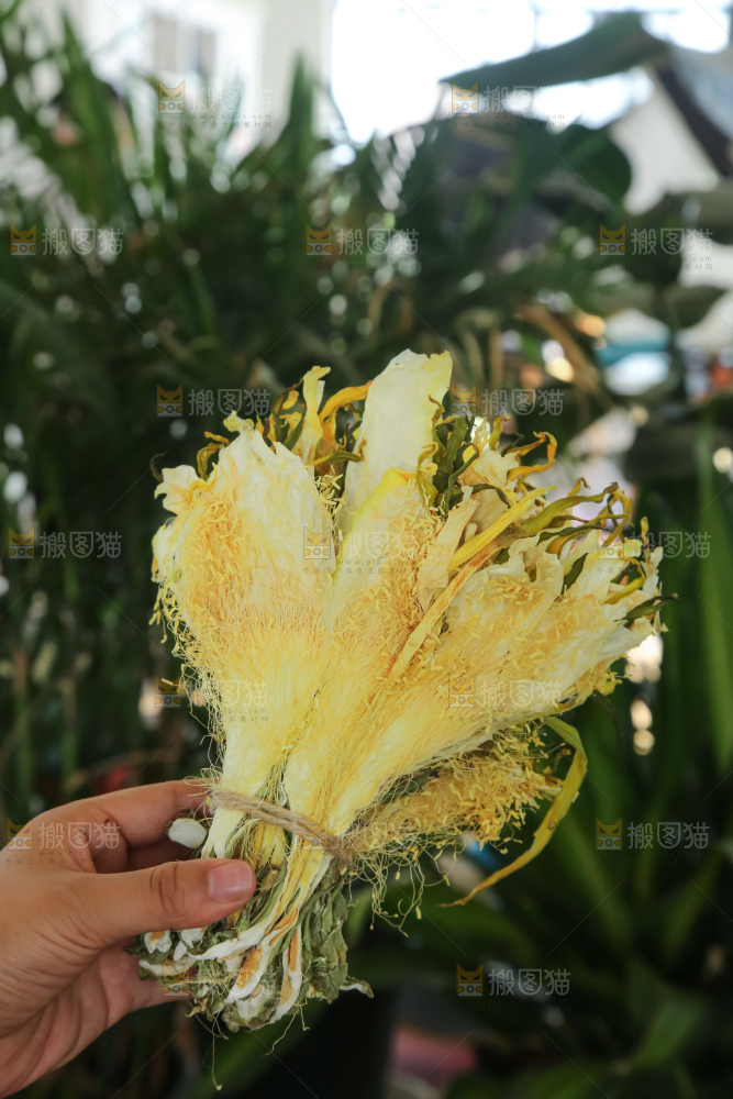 木底上的霸王花