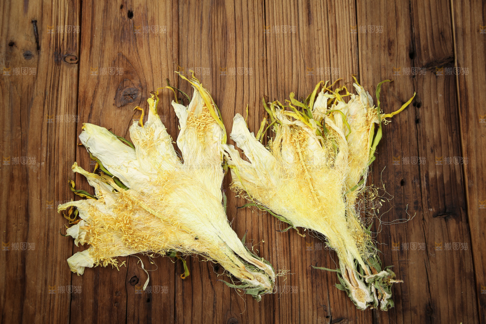 木底上的霸王花
