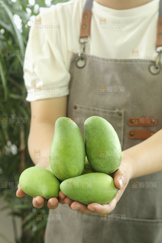 手里拿着象牙芒