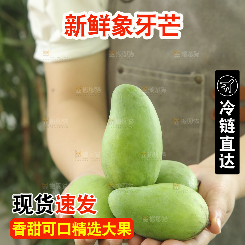 手里拿着象牙芒