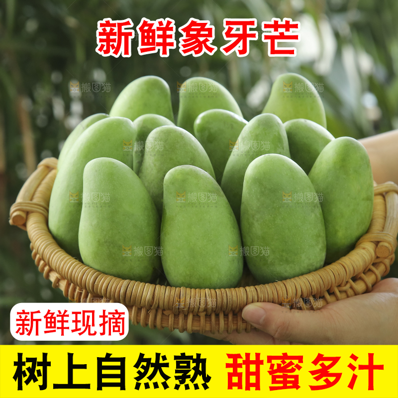 手里拿着象牙芒