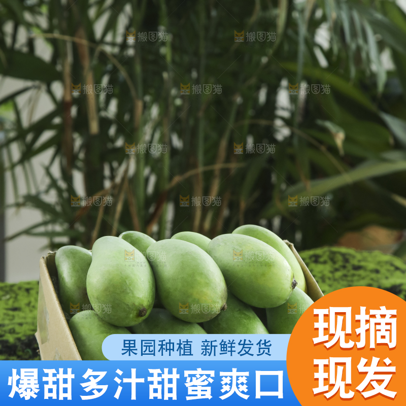 木底上的象牙芒