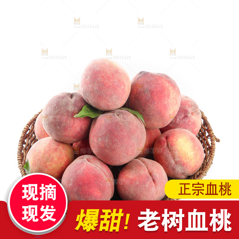 白底上的血桃