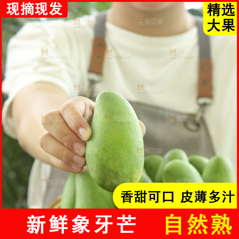 手里拿着象牙芒
