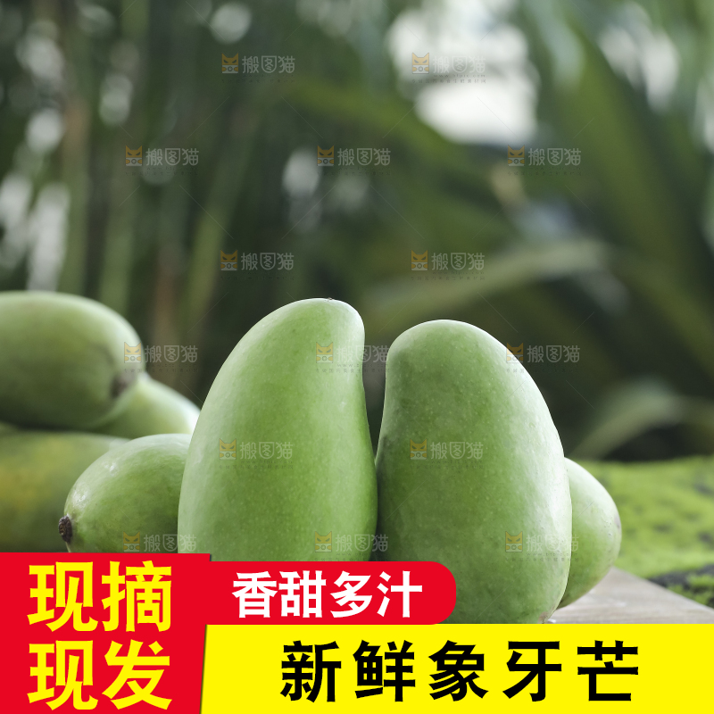 木底上的象牙芒