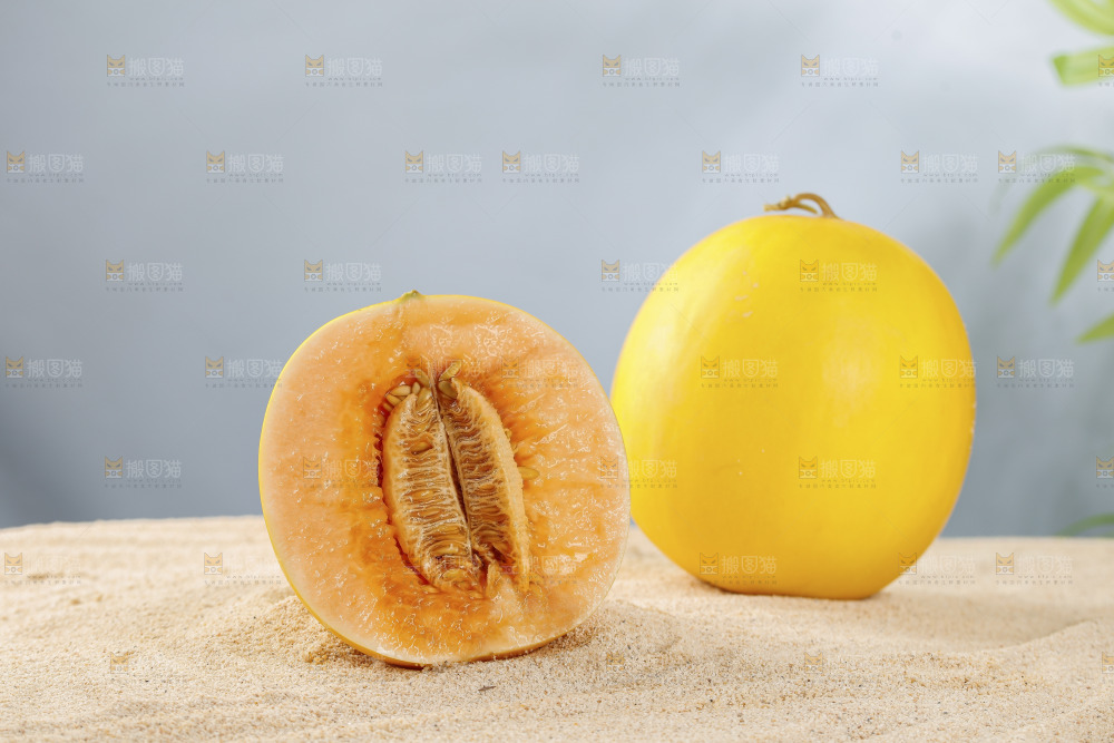 浅底上的民勤蜜瓜