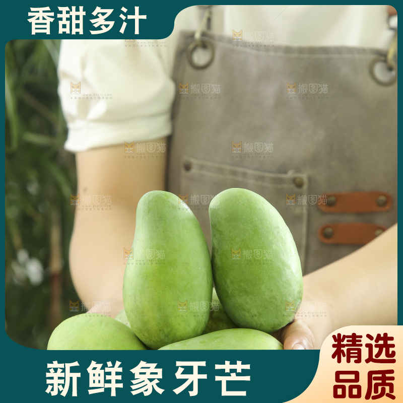 手里拿着象牙芒