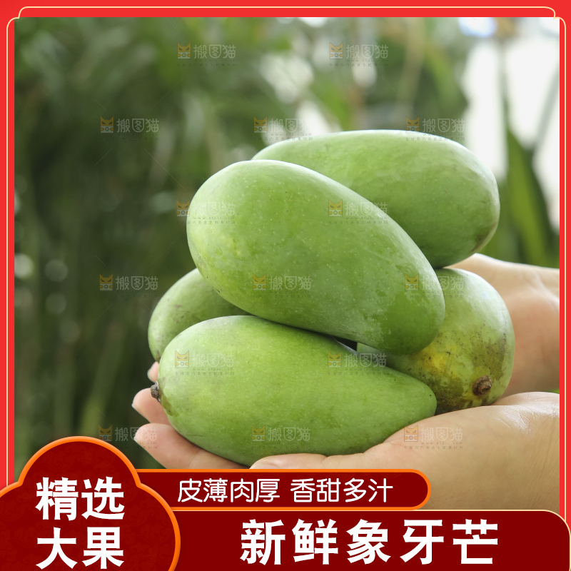 手里拿着象牙芒