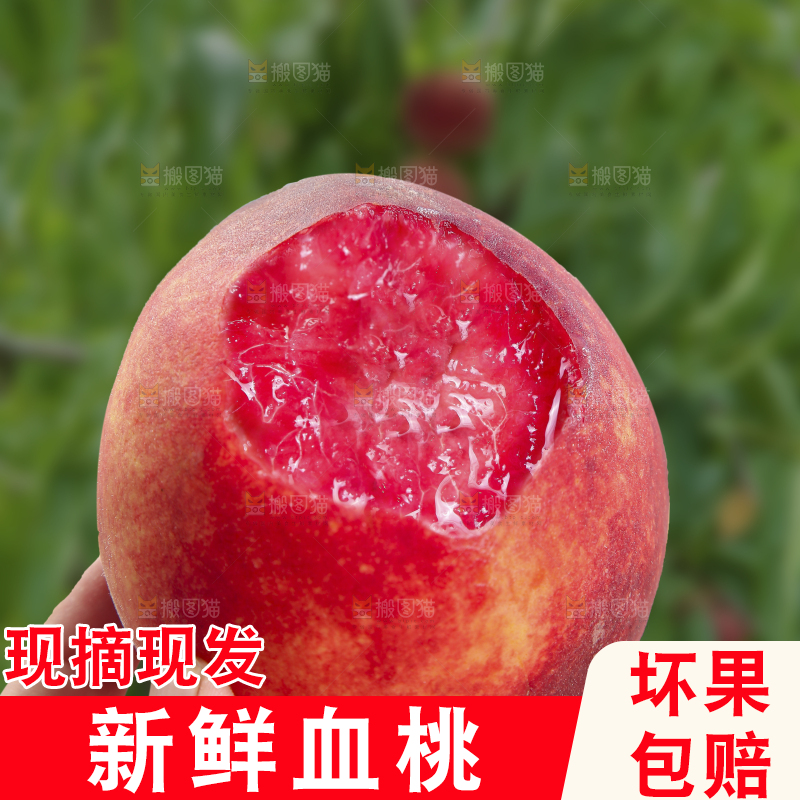 手里拿着血桃