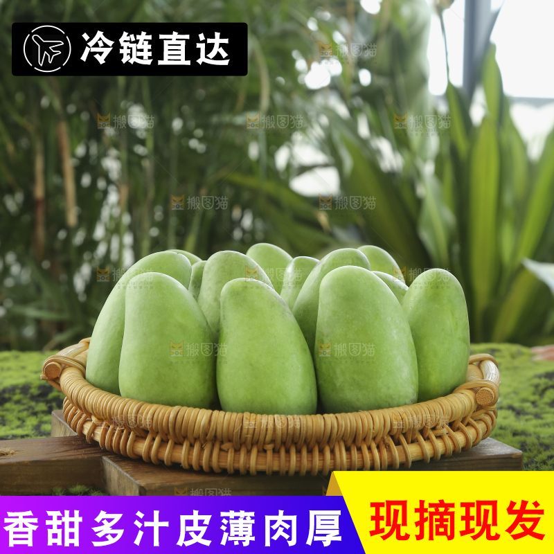 手里拿着象牙芒