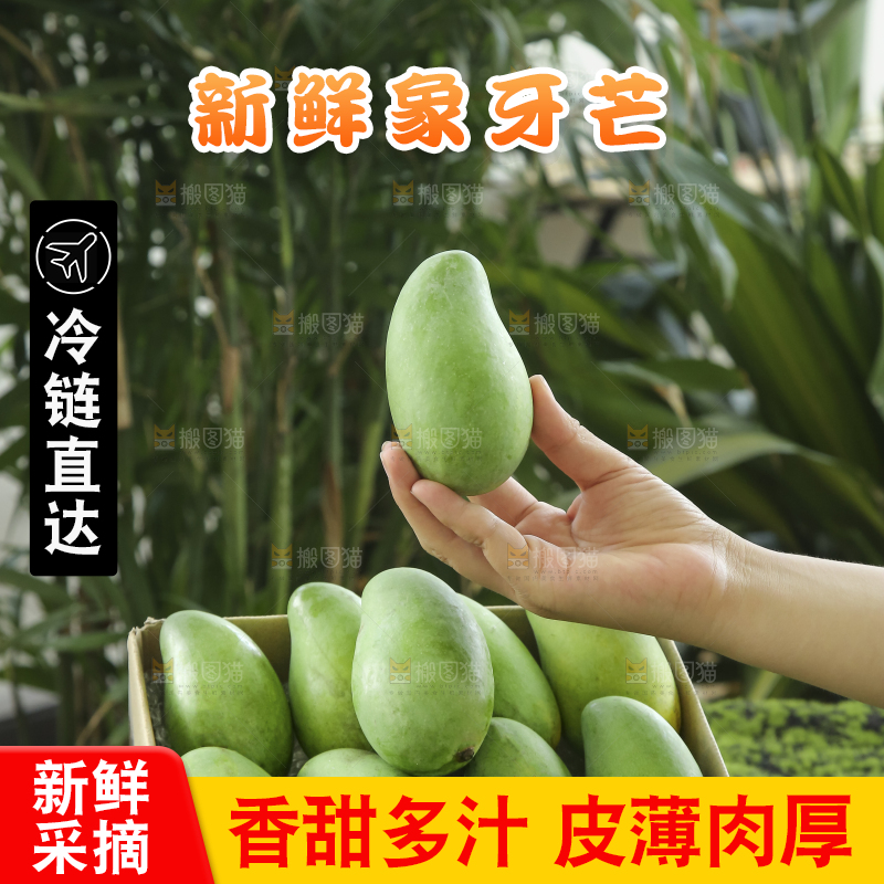 手里拿着象牙芒