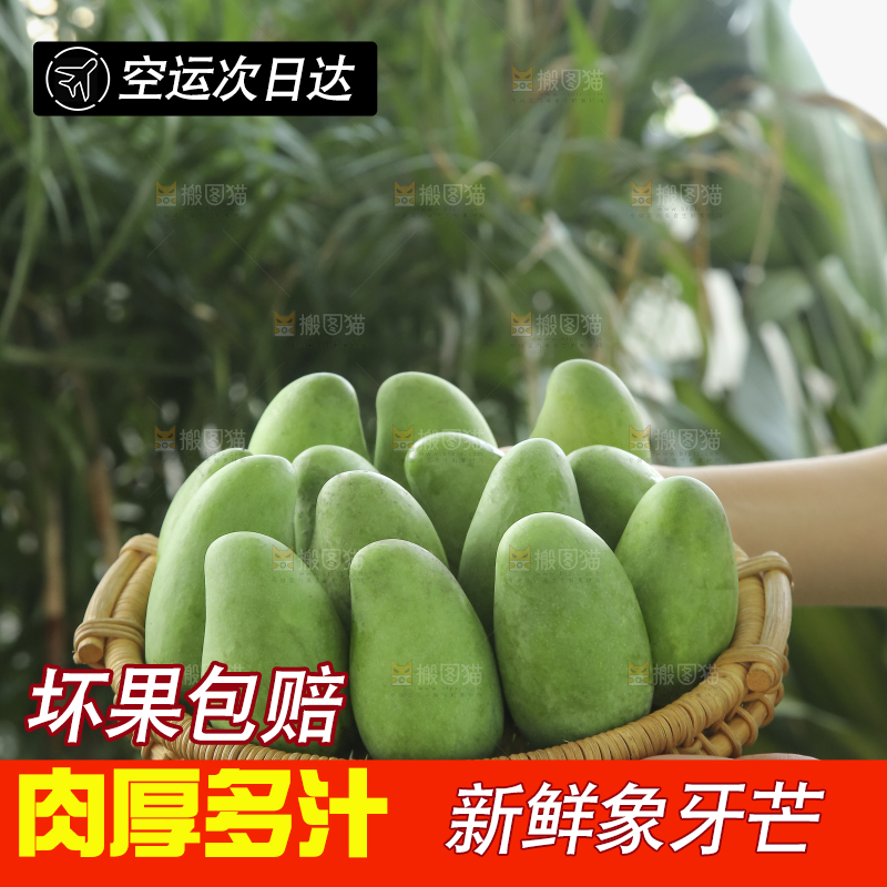 手里拿着象牙芒