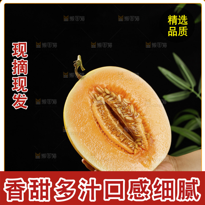 木底上的民勤蜜瓜