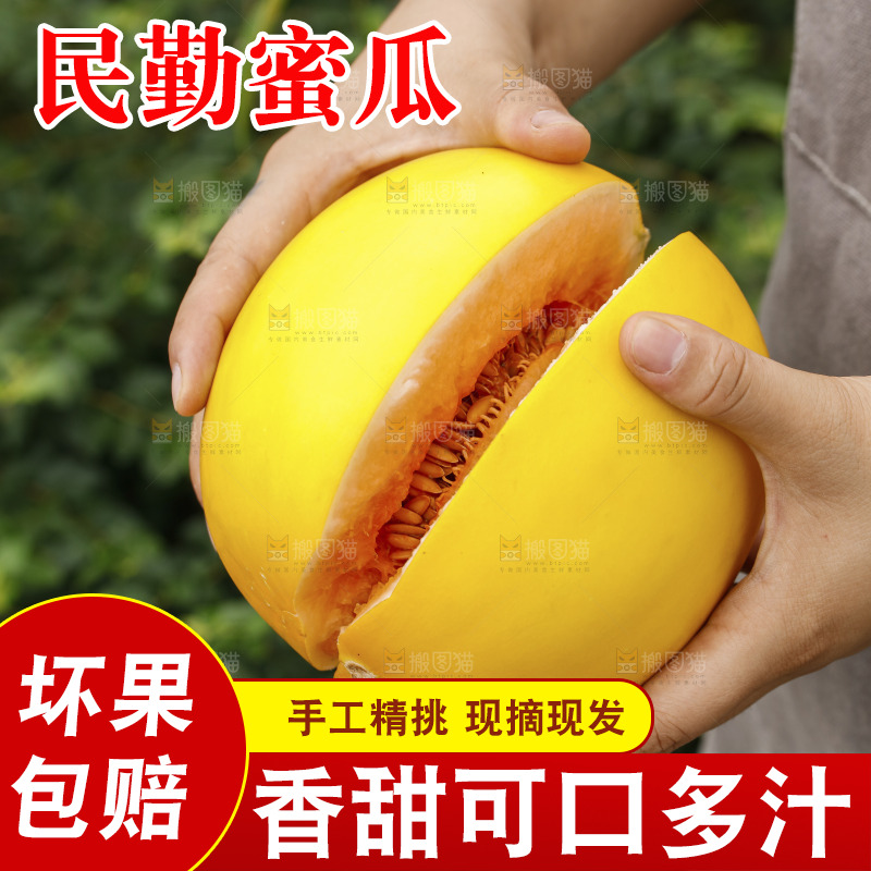 手里拿着民勤蜜瓜