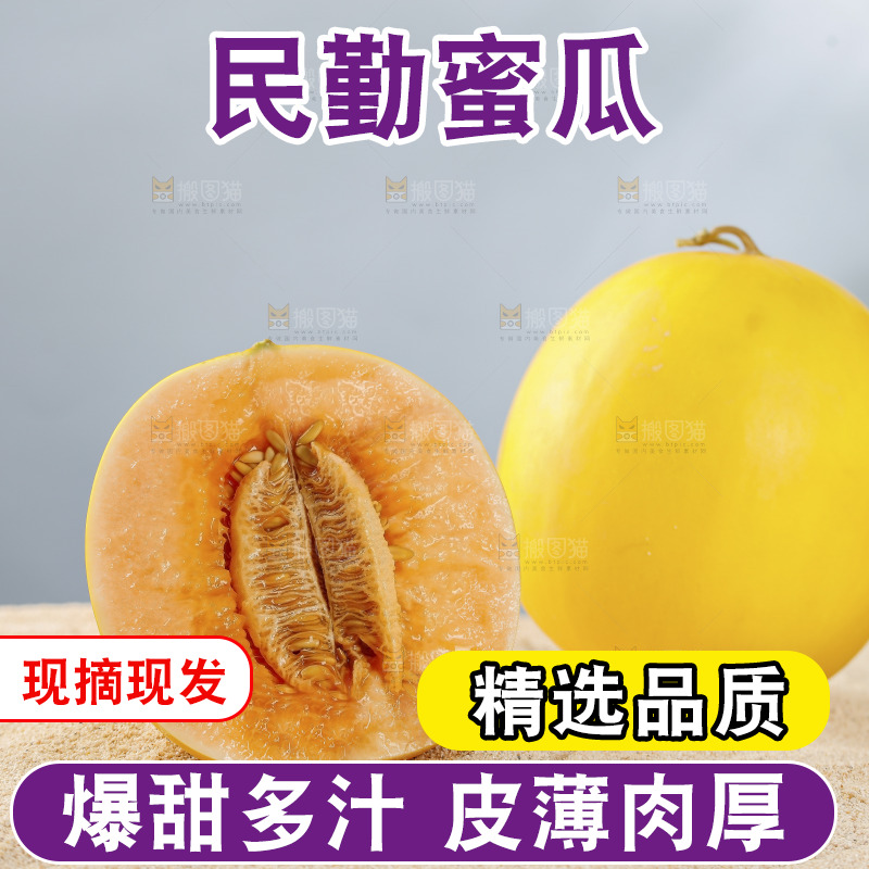 浅底上的民勤蜜瓜