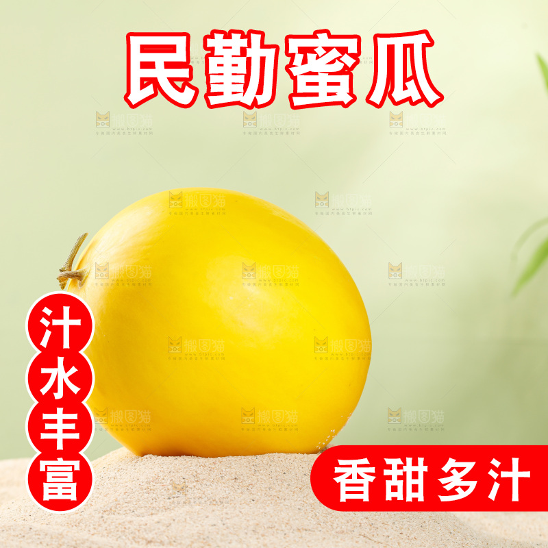 浅底上的黄河蜜瓜
